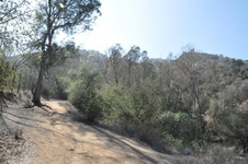 Enlarge photo 15