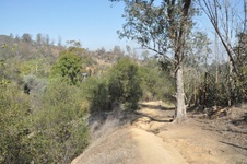 Enlarge photo 16