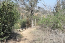 Enlarge photo 17