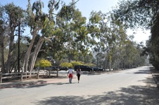 Enlarge photo 18