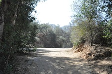 Enlarge photo 19