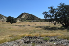 Enlarge photo 11
