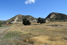 Enlarge photo 12