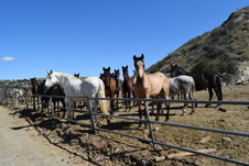 16810 Lost Canyon Rd.