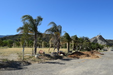 Enlarge photo 21