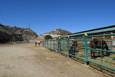 Enlarge photo 23