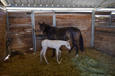 Enlarge photo 33