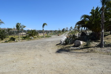 Enlarge photo 49