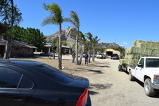 Enlarge photo 52