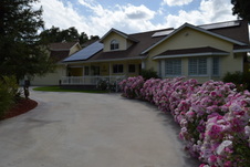 Enlarge photo 1