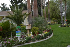 Enlarge photo 98