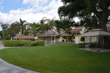 Enlarge photo 111