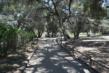 Enlarge photo 5