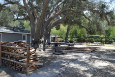 Enlarge photo 10