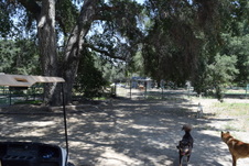 Enlarge photo 18