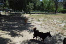Enlarge photo 19