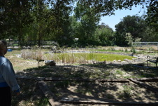 Enlarge photo 21