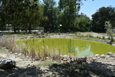 Enlarge photo 22