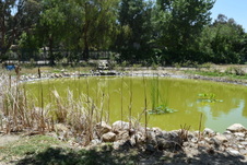 Enlarge photo 23