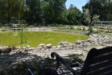 Enlarge photo 24