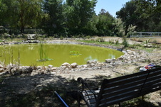 Enlarge photo 25