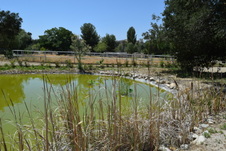 Enlarge photo 26