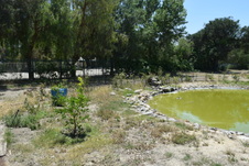 Enlarge photo 27