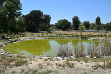 Enlarge photo 28
