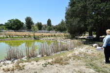 Enlarge photo 29