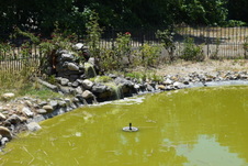 Enlarge photo 30
