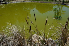 Enlarge photo 31