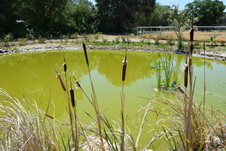 Enlarge photo 32