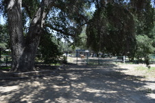 Enlarge photo 33