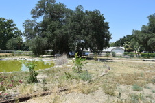 Enlarge photo 37