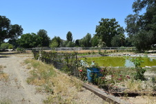 Enlarge photo 38