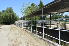Enlarge photo 40
