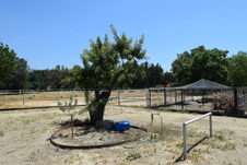 Enlarge photo 43
