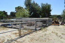 Enlarge photo 48
