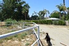 Enlarge photo 58