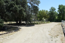 Enlarge photo 59