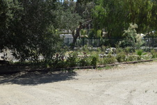 Enlarge photo 60