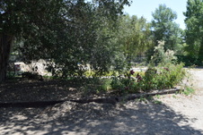 Enlarge photo 63