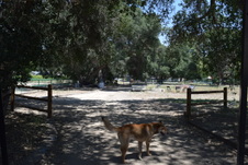 Enlarge photo 64
