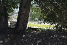 Enlarge photo 65