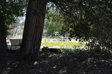Enlarge photo 66