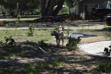 Enlarge photo 81