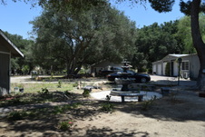 Enlarge photo 82