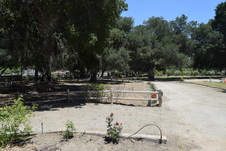 Enlarge photo 90
