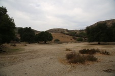 Enlarge photo 24