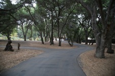 Enlarge photo 38